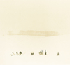 Montana winter series #4