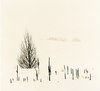 Montana winter series #5