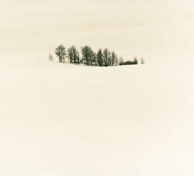 Montana winter series #8