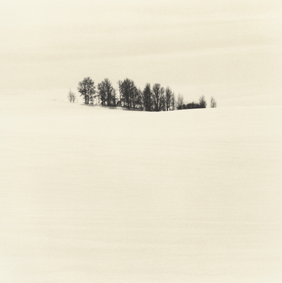 Montana Winter series #8